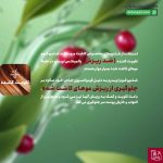 شامپو فوم اویدرم