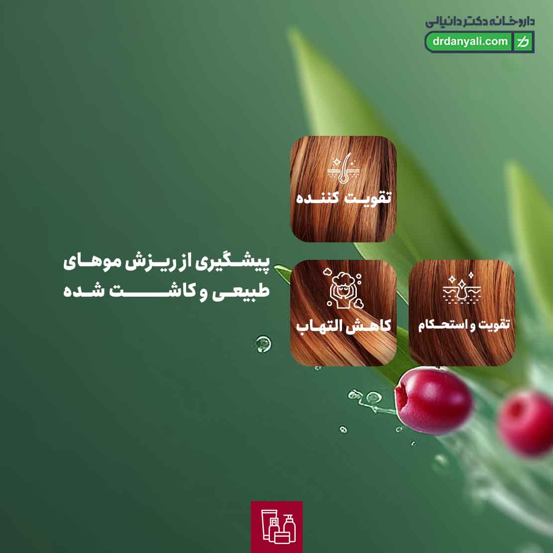 شامپو فوم اویدرم