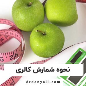 نحوه شمارش کالری