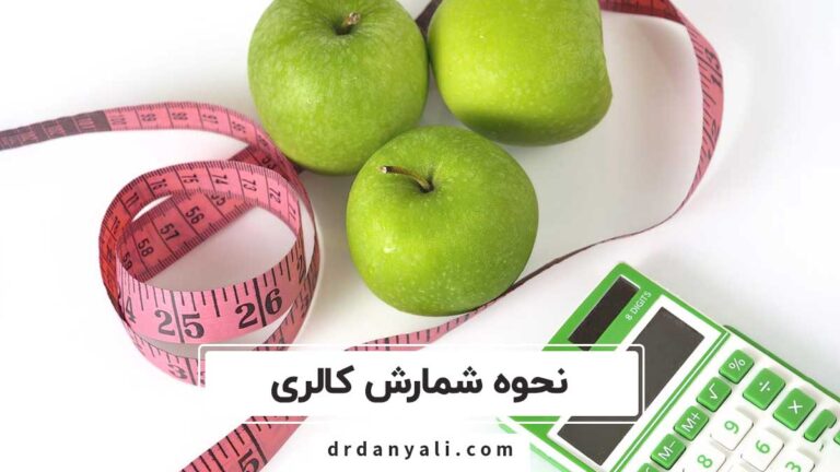 نحوه شمارش کالری