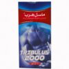 ماسل هرب