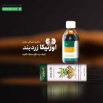 اورتیکا