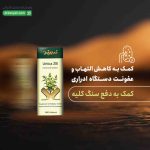 اورتیکا