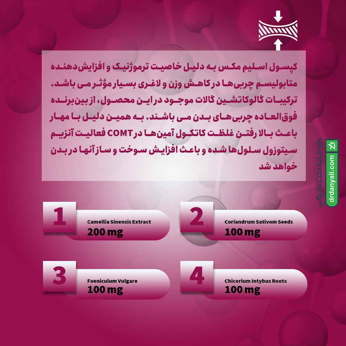 اسلیم مکس