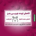 اسلیم مکس