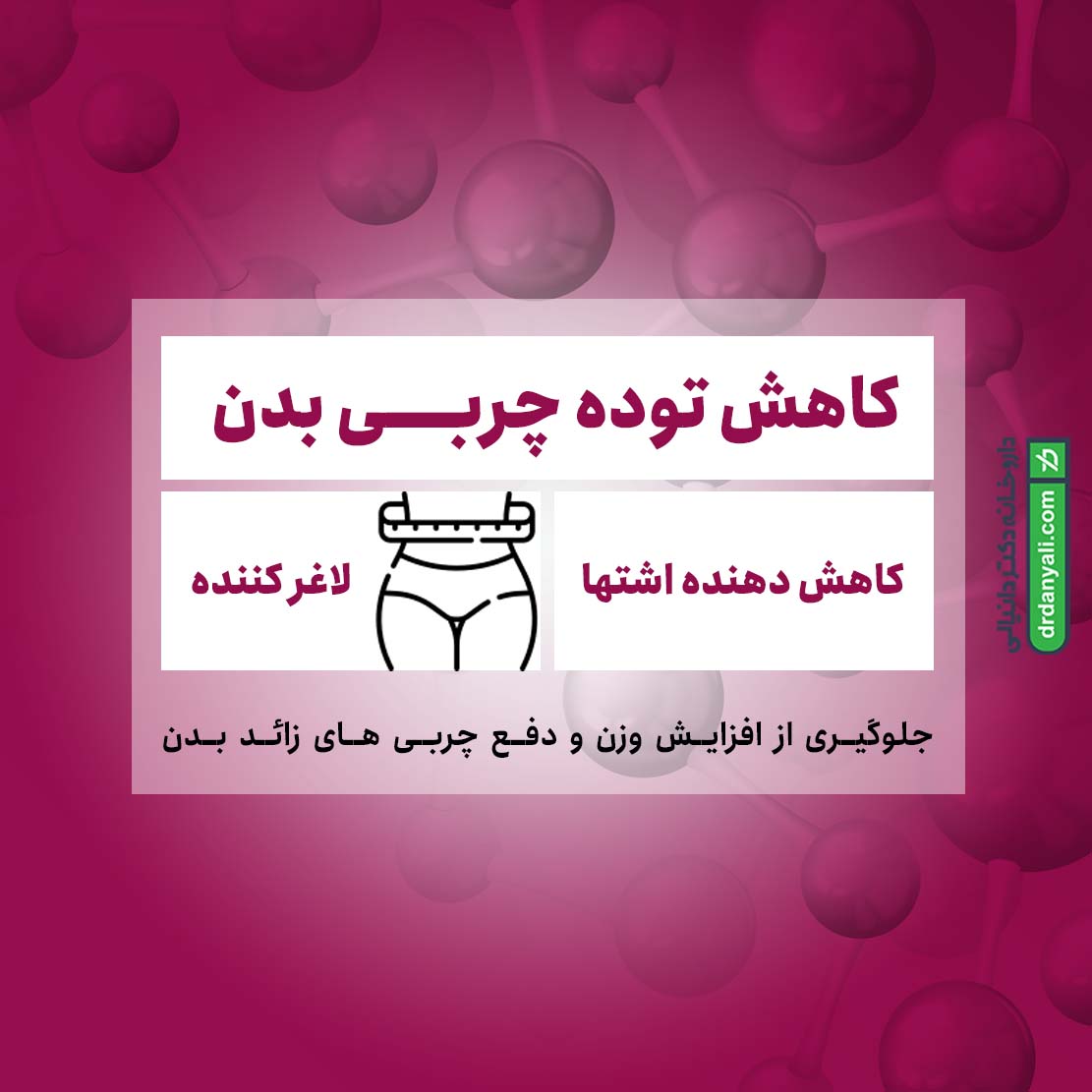 اسلیم مکس