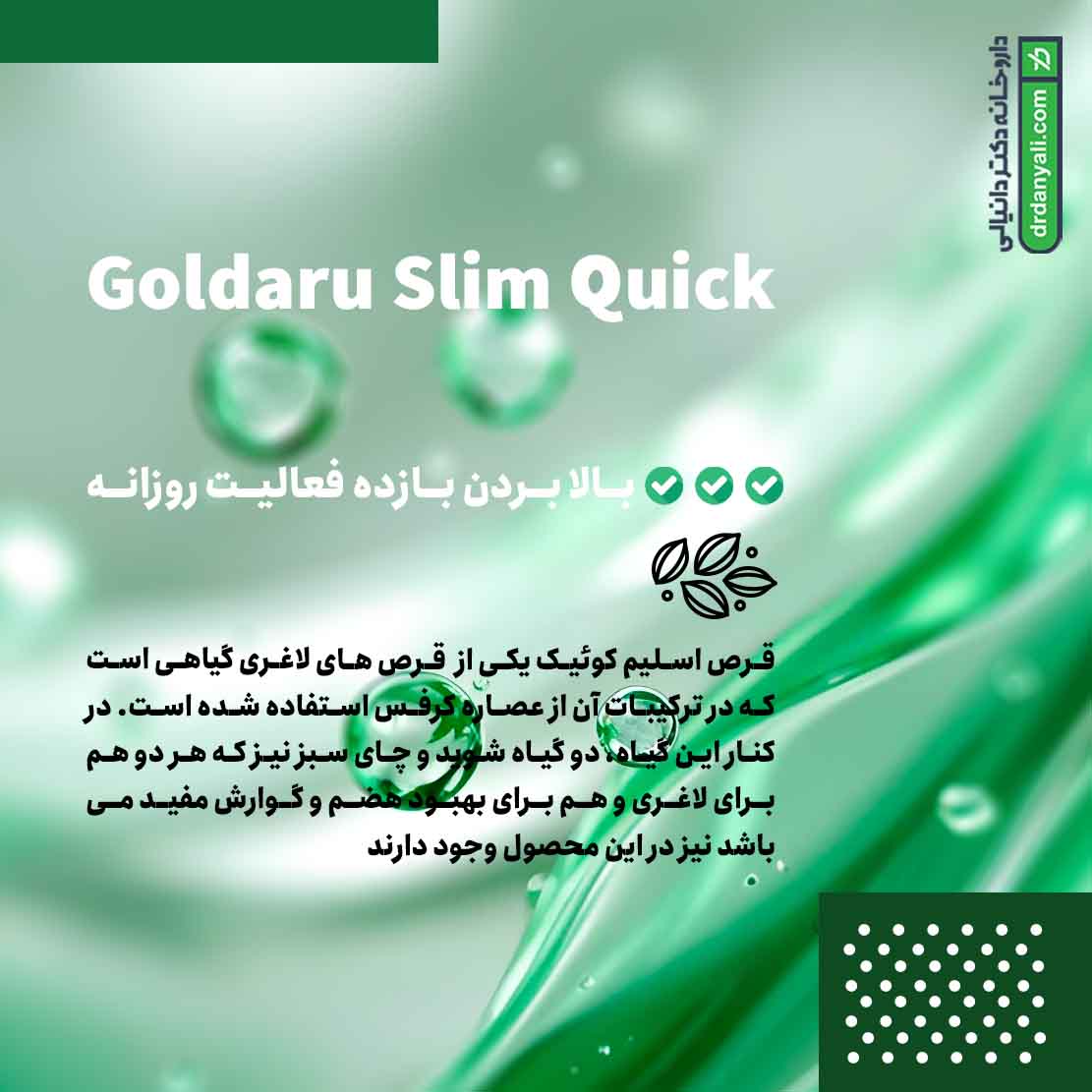 اسلیم کوئیک