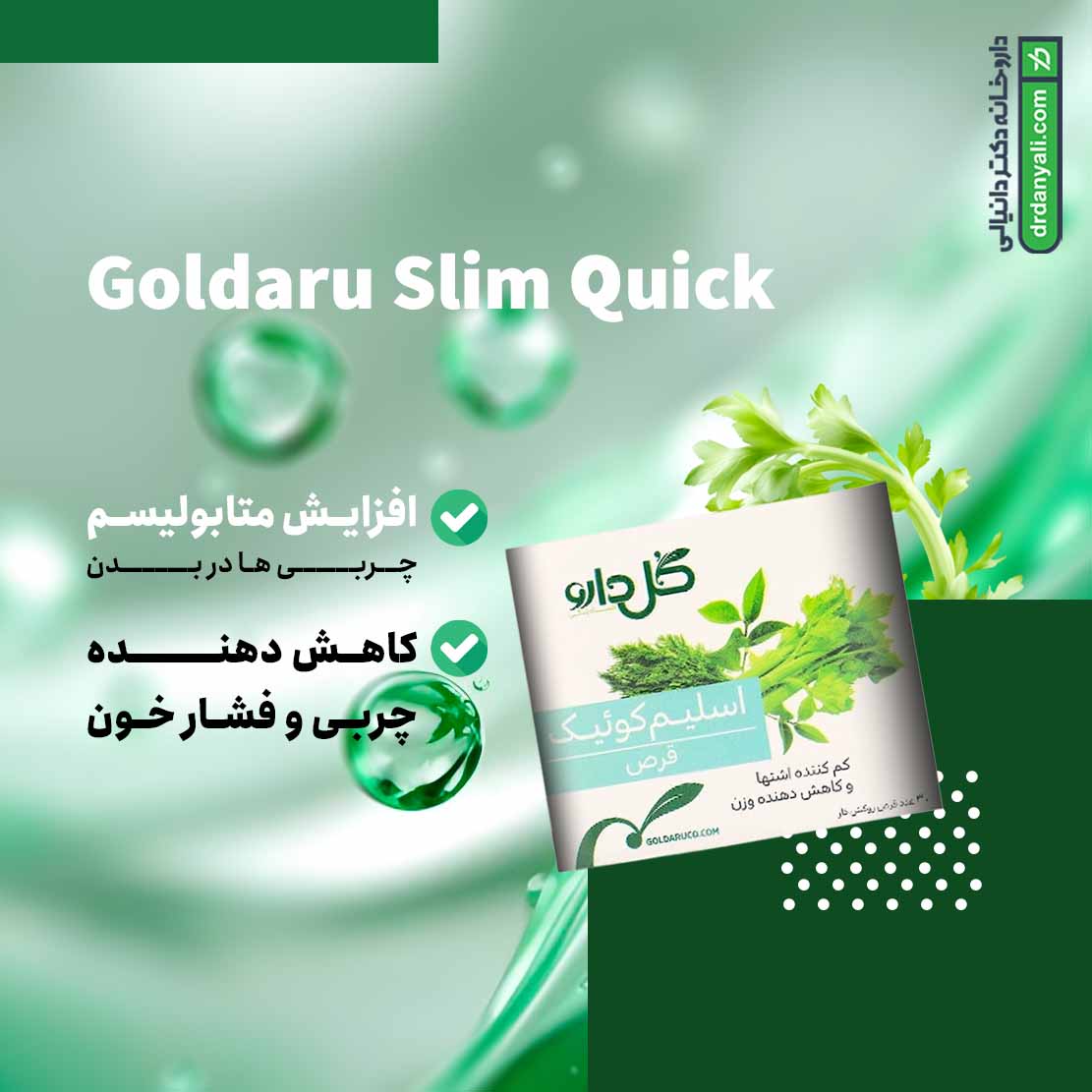 اسلیم کوئیک