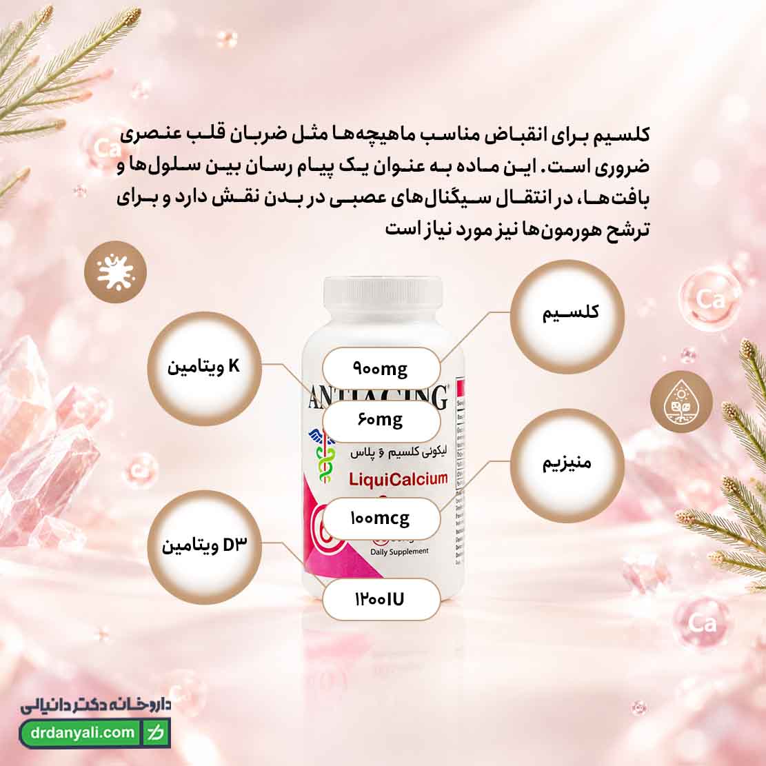 سافت ژل لیکوئی کلسیم 6 پلاس آنتی ایجینگ