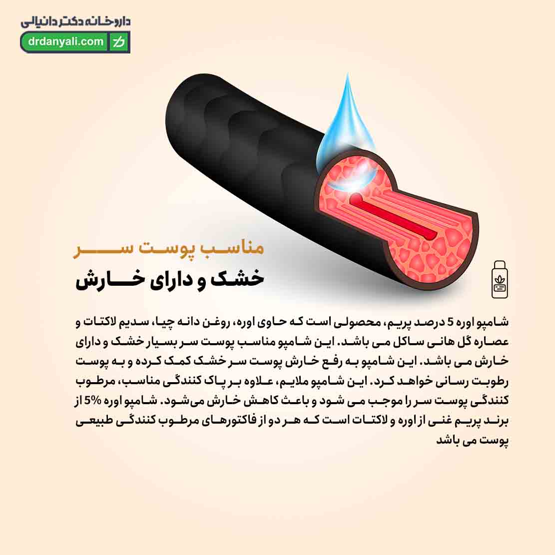 شامپو اوره 5 درصد پرایم
