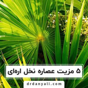 عصاره نخل اره‌ای