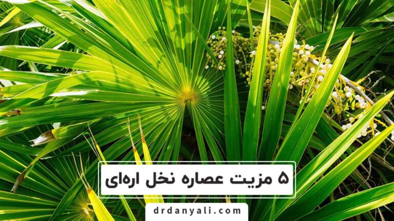 عصاره نخل اره‌ای