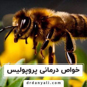 خواص درمانی پروپولیس