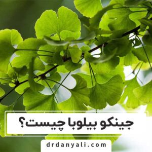 جینکو بیلوبا چیست