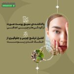 تونر کنترل کننده چربی پوست فلوس فلاور