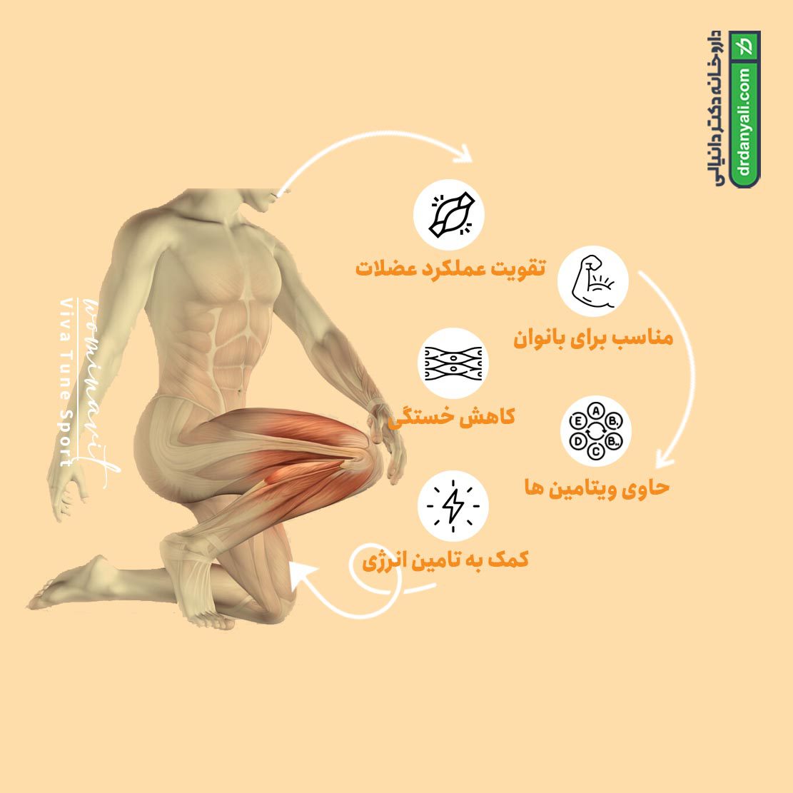 کپسول نرم ومیناویت اسپورت