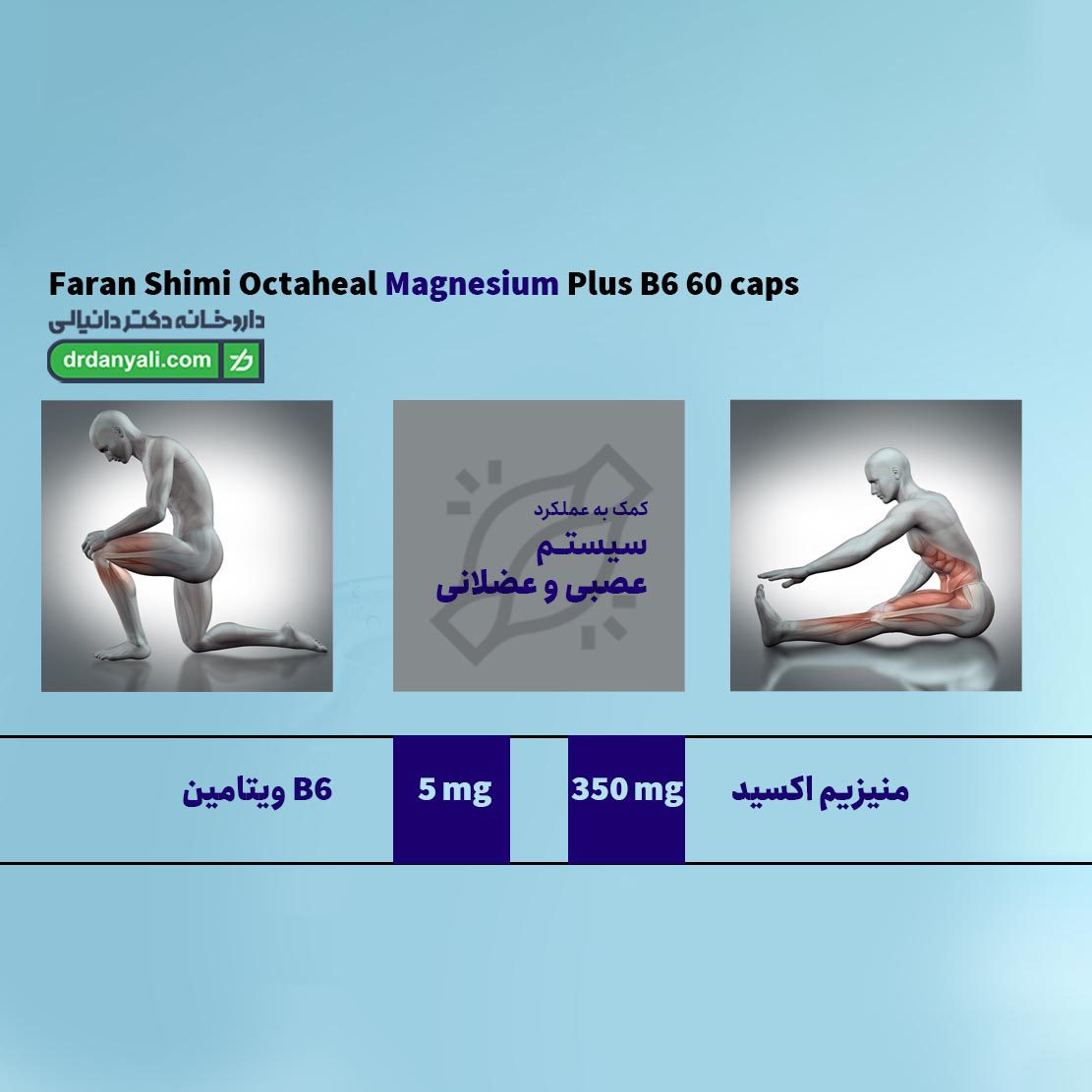 کپسول اکتاهیل منیزیم پلاس ب6