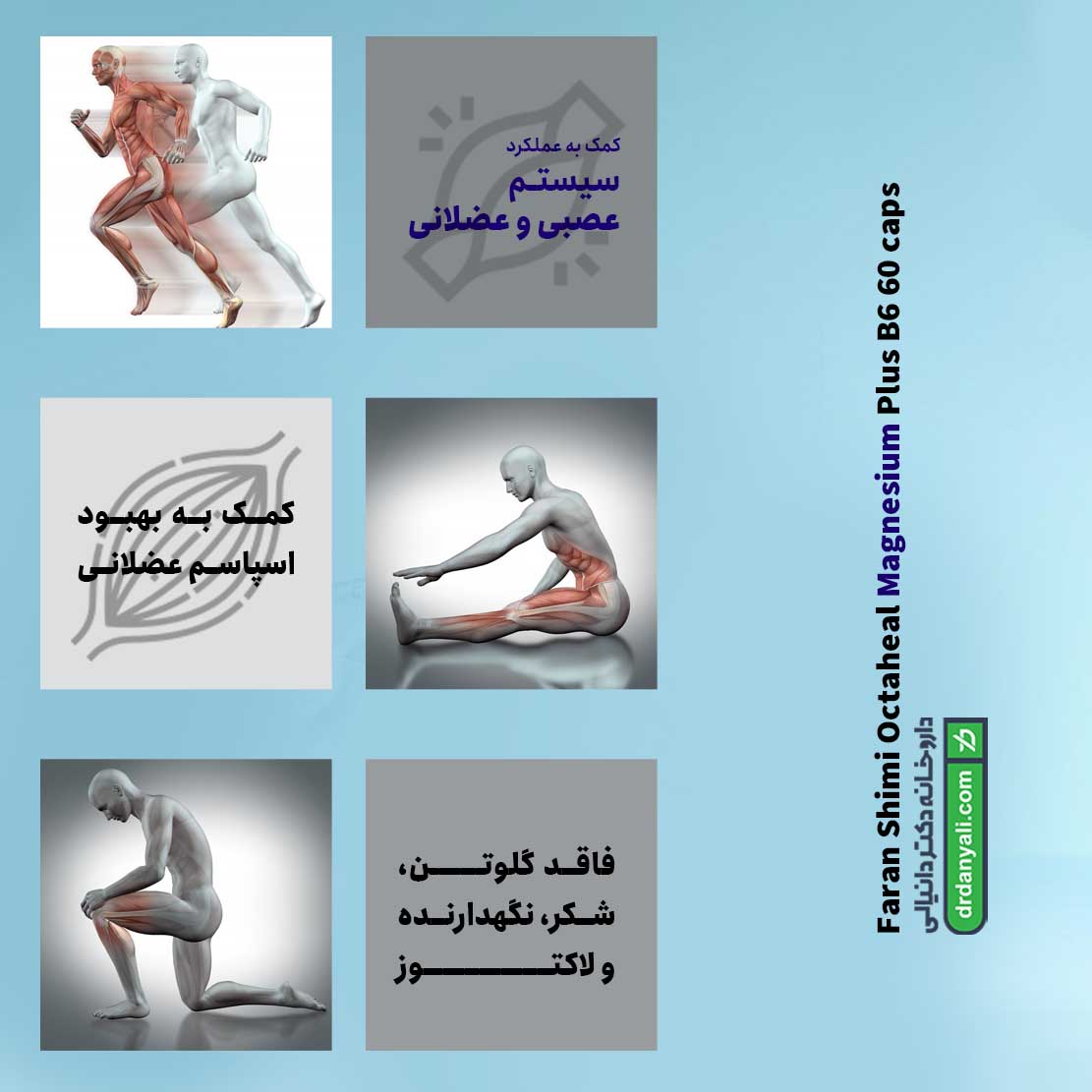 کپسول اکتاهیل منیزیم پلاس ب6