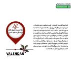 شامپو تقویت کننده و ضد ریزش ولندان