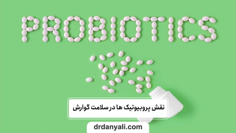 نقش پروبیوتیک‌ ها در سلامت گوارش