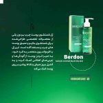 ژل شستشو پوست چرب بردون