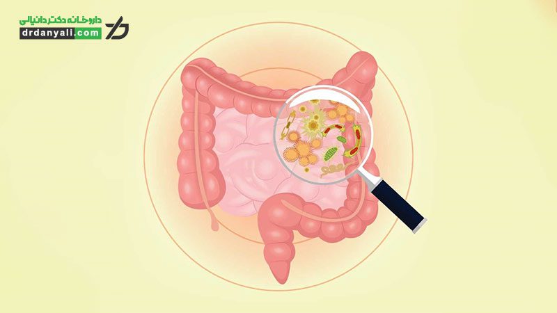 عفونت روده چگونه درمان میشود