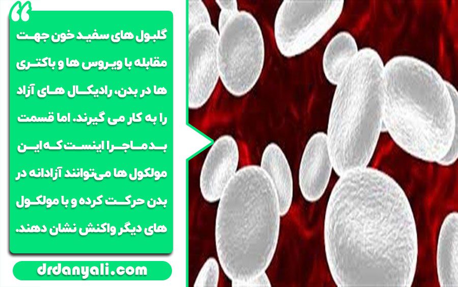 رادیکالهای آزاد و نقش آنها در بدن انسان