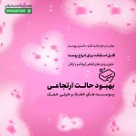 صابون کرم دار مدیلن