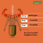 کپسول مگنیبان ویتاول