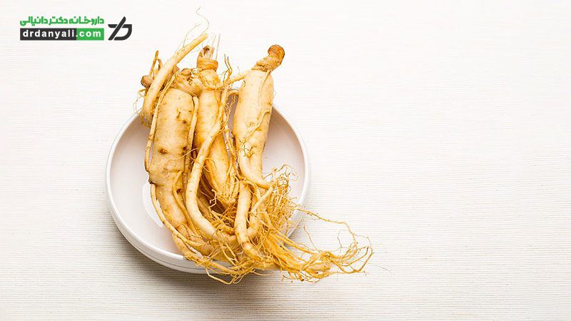 جینسینگ چیست؟