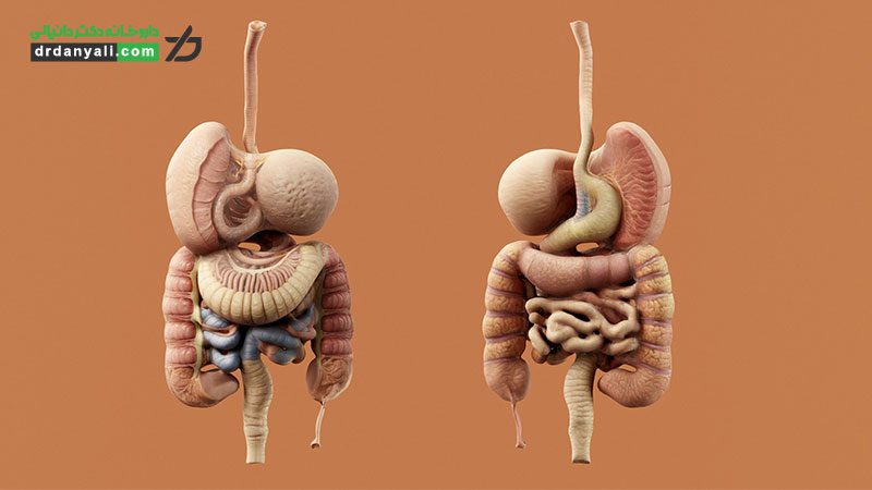علائم کمبود روی چیست؟