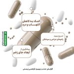 کپسول آناهیل 1200 انتریک کوتد