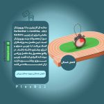 ساشه ال کارنیتین ب12 یوروویتال