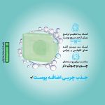 پن پوست چرب سبولیفت درمالیفت