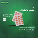 قرص ایمیون ول بادی ویتالوژیک