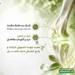 کپسول آوویدا پلاس بایو فرمولا